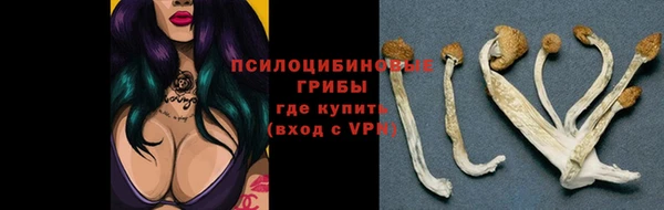 ECSTASY Волоколамск