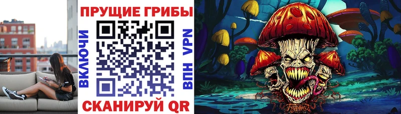 гидра ONION  Чебоксары  Псилоцибиновые грибы MAGIC MUSHROOMS  как найти закладки 